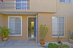 warner19